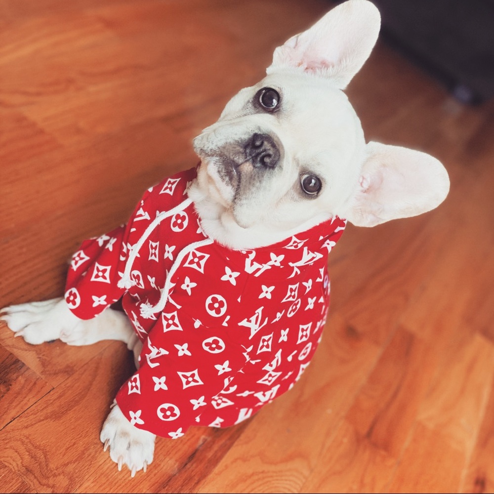 Red dog hoodie